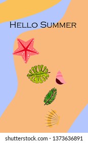Summer rest. Starfish, seashell, leaves of tropical plants. Vector background