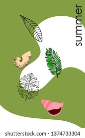 Summer rest. Starfish, seashell, leaves of tropical plants. Vector background