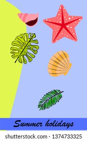 Summer rest. Starfish, seashell, leaves of tropical plants. Vector background