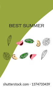 Summer rest. Starfish, seashell, leaves of tropical plants. Vector background