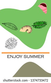 Summer rest. Starfish, seashell, leaves of tropical plants. Vector background