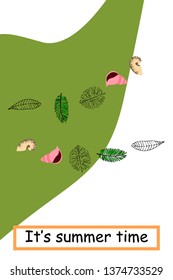 Summer rest. Starfish, seashell, leaves of tropical plants. Vector background