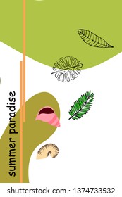 Summer rest. Starfish, seashell, leaves of tropical plants. Vector background