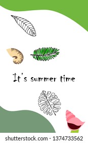 Summer rest. Starfish, seashell, leaves of tropical plants. Vector background