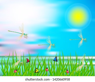 Summer river grass butterflies dragonflies