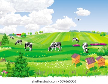 Summer rural landscape with fields, cows and apiary.