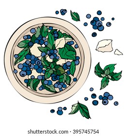Summer salad with blueberry,greenery and ricotta cheese.Hand drawn color vector illustration of fresh salad isolated on white background. Organic food.
