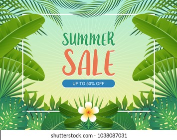 Summer sale background banner with green exotic palm leaves and tropical plants, summer sale concept. Vector illustration