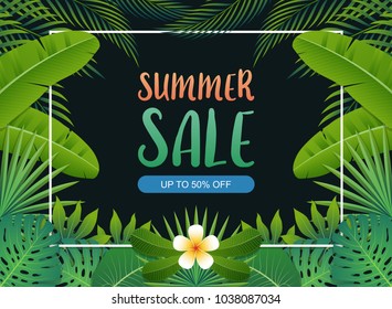 Summer sale background banner with green exotic palm leaves and tropical plants, summer sale concept. Vector illustration