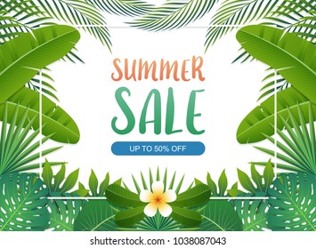 Summer sale background banner with green exotic palm leaves and tropical plants, summer sale concept. Vector illustration