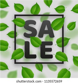 Summer sale background with flying green leaves and bokeh effect. Natural green eco banner. Eco concept. Business backdrop with season offer. Vector design illustration.