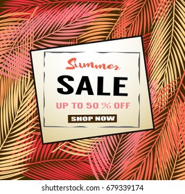 Summer sale background with palm. Vector background for banner, poster, flyer, card, postcard, cover, brochure.