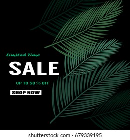Summer sale background with palm. Vector background for banner, poster, flyer, card, postcard, cover, brochure.