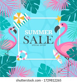 Summer sale background with two pink flamingo. vector illustration