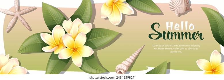 Summer sale banner with plumeria. Background with tropical Thai flower. Yellow Frangipani with shells and clams