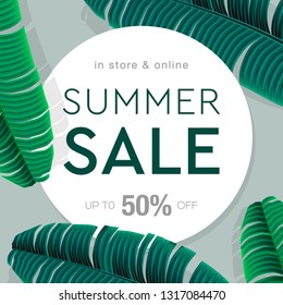 Summer Sale banner, poster with palm leaves, jungle leaf and lettering. Floral tropical summer background. Vector illustration