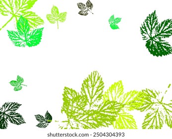 Summer sale banner with scattered green leaves foliage on white checkered background.  Stylish tree foliage vector september seasonal background.