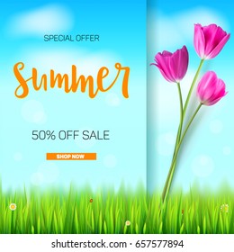 Summer sale banner. Stylish advertisement text poster on blue summer sky backdrop with white clouds, green, lush grass, daisies and ladybugs. Template mock-up for online shopping, advertising actions.
