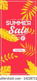 Summer sale banner template with palm. voucher discount. Vector illustration template.