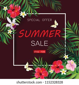 	
Summer sale banner. Vector iluustration with tropicsl flowers and palm leawes. template for web design.