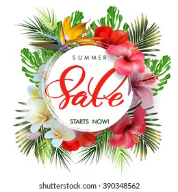 Summer sale Concept. Summer background with tropical flowers, butterflies. Template Vector.