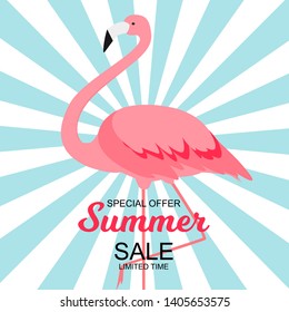 Summer Sale concept Background. Vector Illustration EPS10