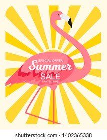 Summer Sale concept with Colorful Cartoon Pink Flamingo Background. Vector Illustration. EPS10