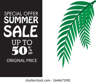 summer sale discount up to 50% off special offer original price vector template illustration