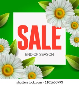 Summer Sale lettering and bouquet realistic daisy, camomile flowers on green background, online shopping, store, advertising poster, vector illustration.