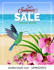 Summer sale special offer lettering with beach and hummingbird. Summer offer or sale advertising design. Handwritten and typed text, calligraphy. For brochure, invitation, poster or banner.