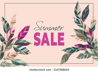 Summer sale. Stylized tree branch frame with green pink leaves summer sale vector banner. Abstract botany tree branch foliage greenery, stylized leaves with striped texture. Eucalyptus border frame.