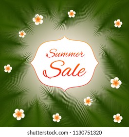 Summer sale. Vector card.