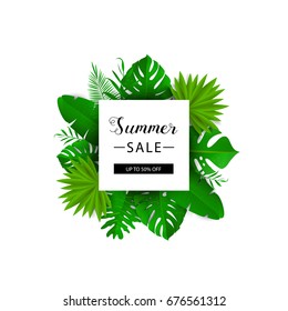 Summer sale. Vector illustration. Summer banner with 3d hawaiian leaf isolated on white background. Floral banner with border. Summer tropical leaves.