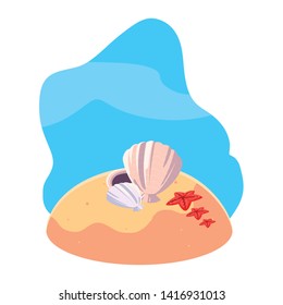 summer sand beach with shell and starfish scene