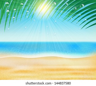 summer sea beach with palm trees