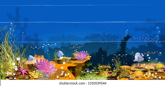 Summer sea - marine life, landscape - ocean and underwater world Wonderland For printing, creating videos or designing web graphics
