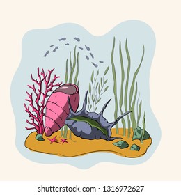 Summer Sea Shells Design Illustration. Vector Background with Seashells, Seastar, Corals and Sand. Cartoon 3d drawing. Coral reef.