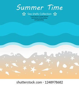 Summer sea shells fossil collection design on wave ocean and background, Underwater seascape life, Vector illustration art drawing for printing and  postcard with paper cut origami style.