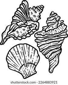 Summer Sea Shells Line Art Coloring Page for Adults
