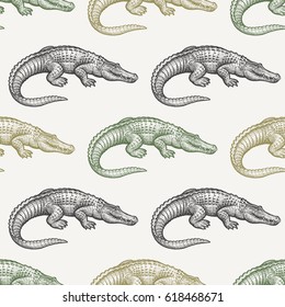 Summer seamless pattern with animals South America. Caiman. Black and green crocodiles on pastel background. Hand drawing of wildlife. Vector illustration art.  Vintage. Design for fabrics, paper