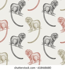 Summer seamless pattern with animals South America. Lion tamarin. Red, black, green monkeys on pastel background. Hand drawing of wildlife. Vector illustration art.  Vintage. Design for fabrics, paper