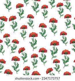Summer seamless pattern with bright red poppy flowers and poppy pods. Field, meadow of poppies.
