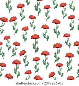 Summer seamless pattern with bright red poppy flowers and poppy pods. Field, meadow of poppies.