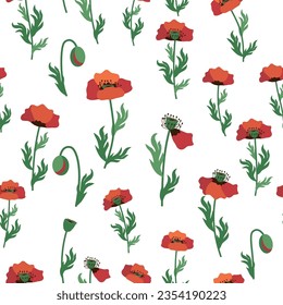 Summer seamless pattern with bright red poppy flowers and poppy pods. Field, meadow of poppies.