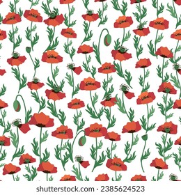 Summer seamless pattern with bright red poppy flowers and poppy pods. Field, meadow of poppies.