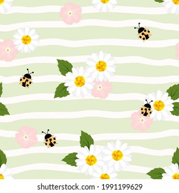 Summer seamless pattern with chamomiles  and ladybugs on stripped background,vector illustration