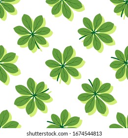 Patrón veraniego sin fisuras con hojas exóticas sobre fondo blanco. Ilustración vectorial con hojas verdes tropicales. Papel tapiz tropical. Para web, banners, rayado, impresión en tela, papel de envoltura.