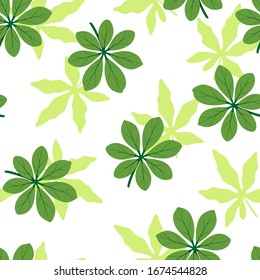 Summer seamless pattern with exotic leaves on white background. Vector illustration with tropical green leaves. Tropical wallpaper. For web, banners, scrapbooking, printing on fabric, wrapping paper.