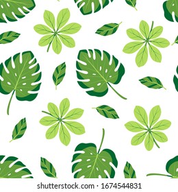 Summer seamless pattern with exotic monstera leaves on white background. Vector illustration with green leaves. Tropical wallpaper. For web, banners, scrapbooking, printing on fabric, wrapping paper.