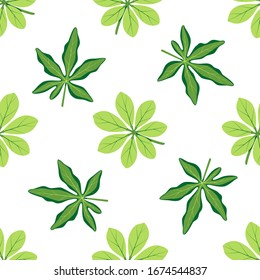 Summer seamless pattern with exotic passiflora leaves on white background. Vector illustration with green leaves. Tropical wallpaper. For web, banners, scrapbooking, printing on fabric, wrapping paper